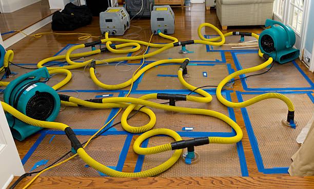 Professional Structural Drying And Dehumidification technician working in Treynor, IA
